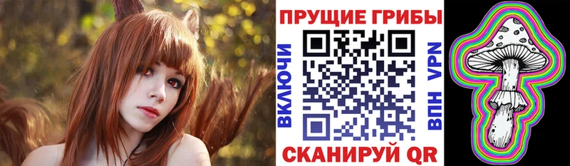 цены   Дрезна  Псилоцибиновые грибы Magic Shrooms 